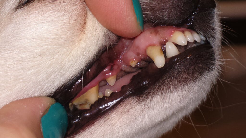 2015-10-10-44390 2015-10-10-44390