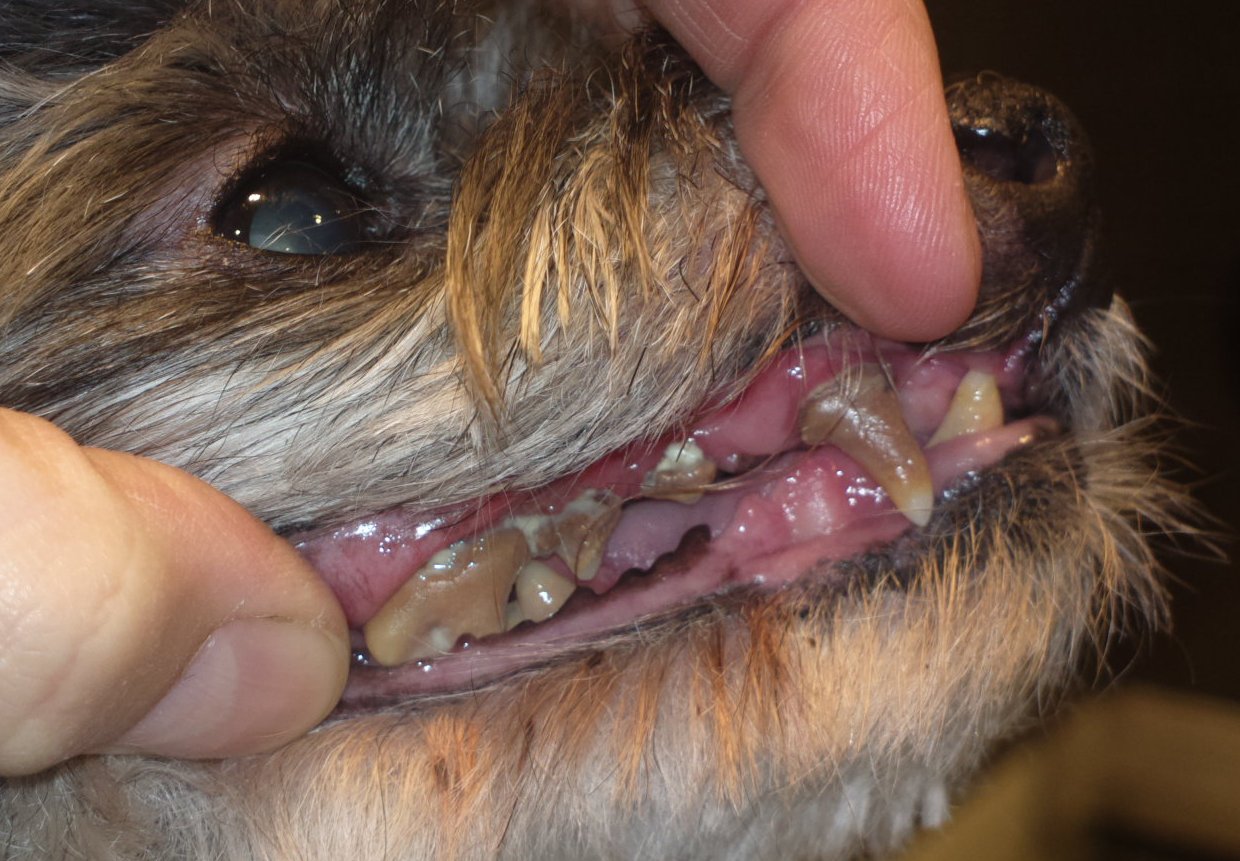 2015-10-20-4583przed 2015-10-20-4583przed