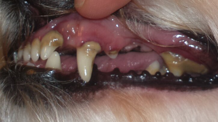 2015-11-20-51180 2015-11-20-51180