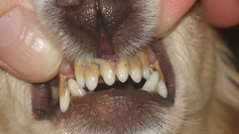 2015-12-06-56350 2015-12-06-56350