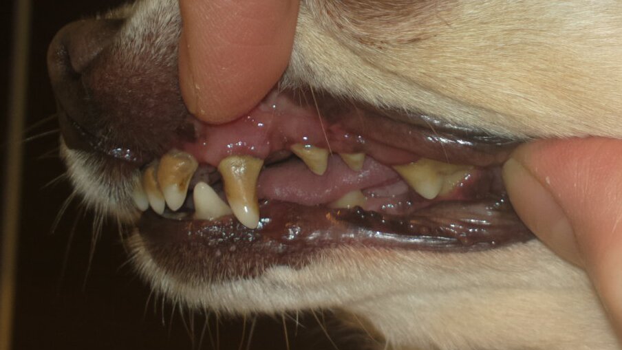 2015-12-06-56370 2015-12-06-56370