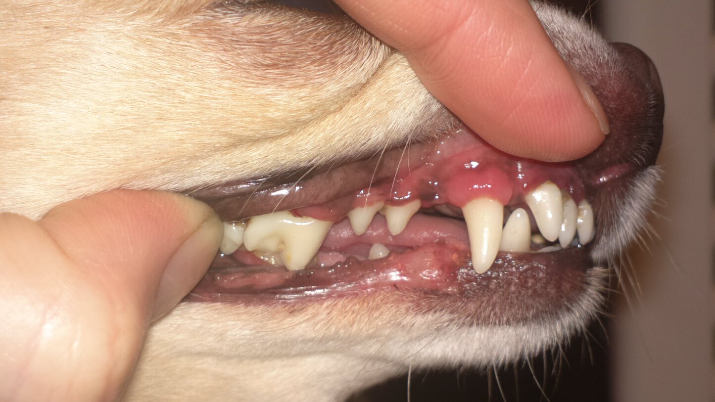 2015-12-06-56540 2015-12-06-56540