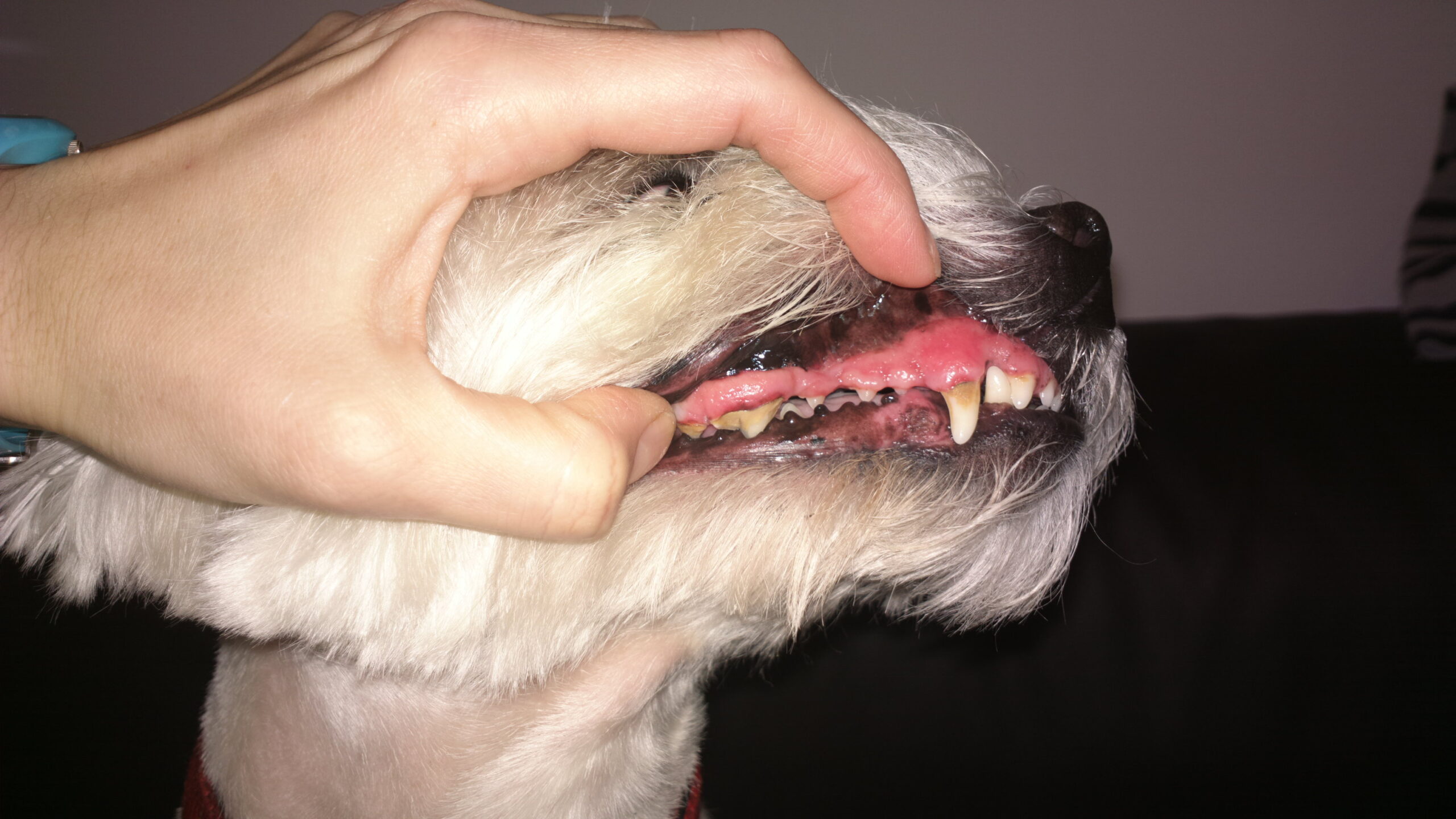 2015-12-12-5795 2015-12-12-5795