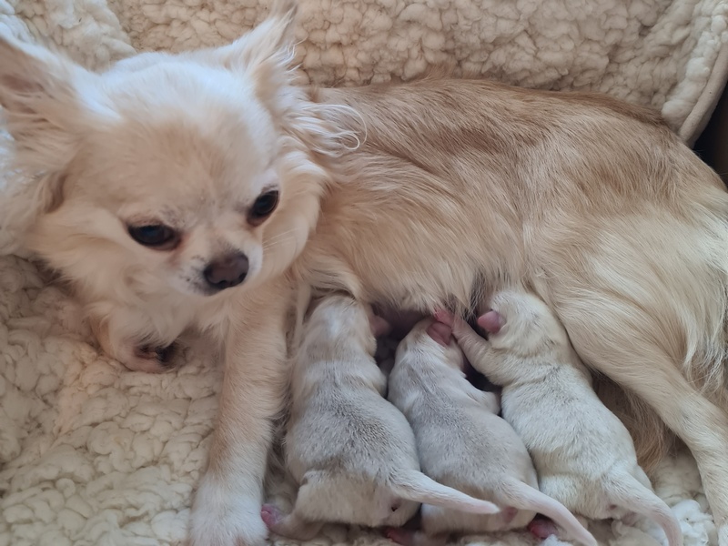 Ostatni miot w tym roku urodzony