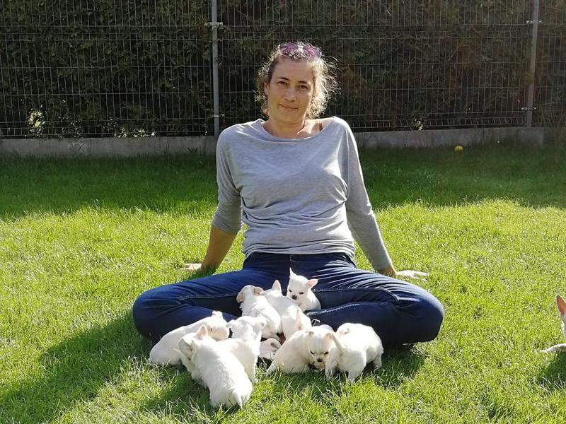 Maluchy rosną jak na drożdżach, mają już 6 tygodni.