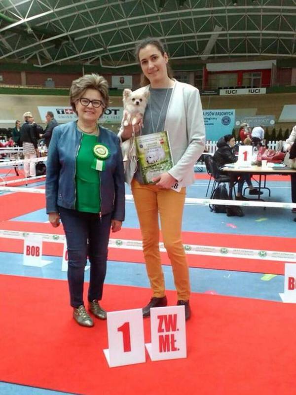 Nasi milusińscy na wystawach 2018