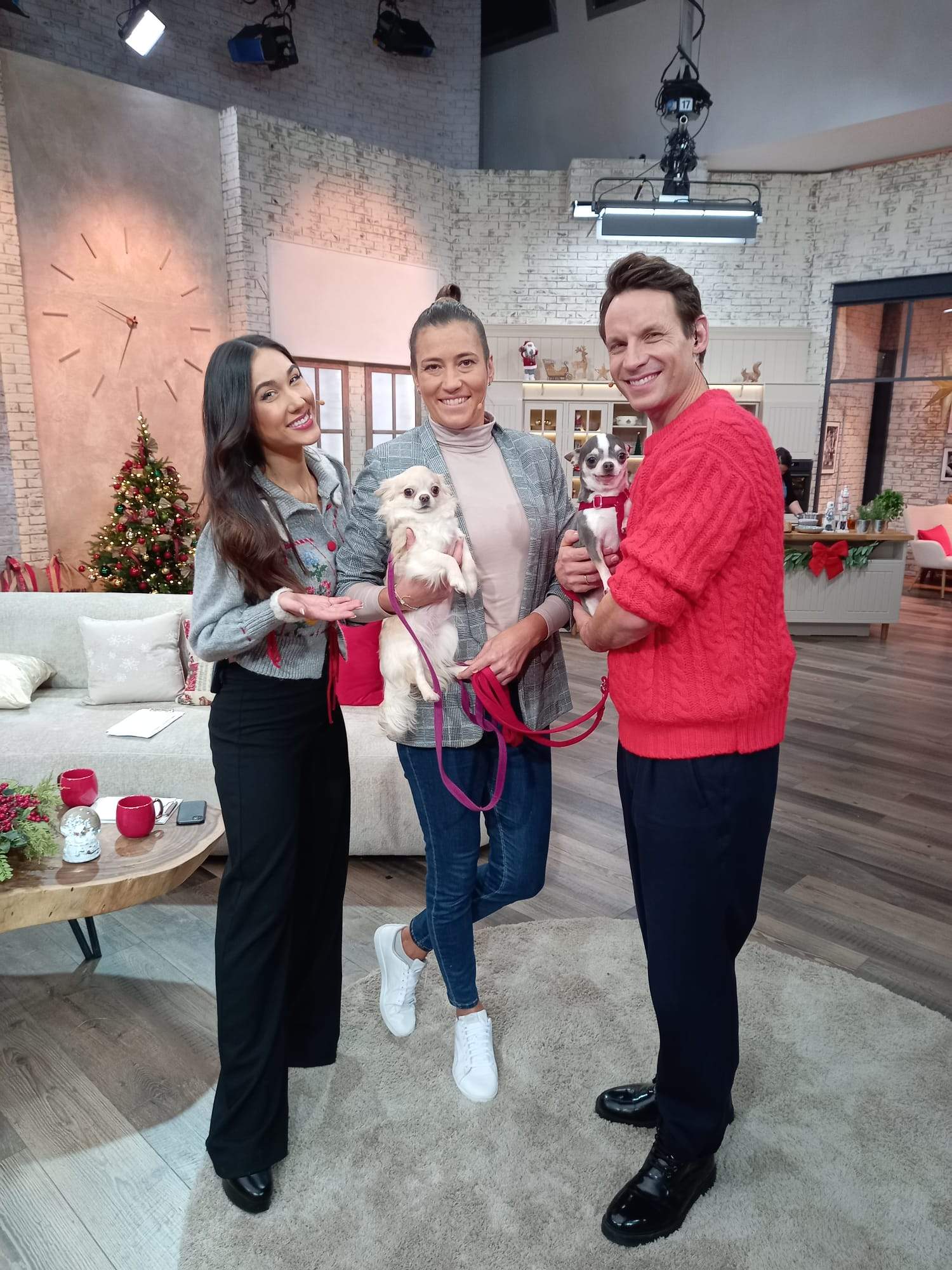 Pytanie na śniadanie