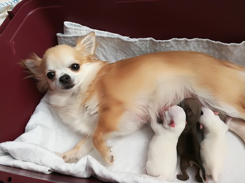 Jest i nasza ostatnia niespodzianka