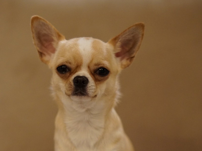 Mila z domu Rosa w domu AFERA