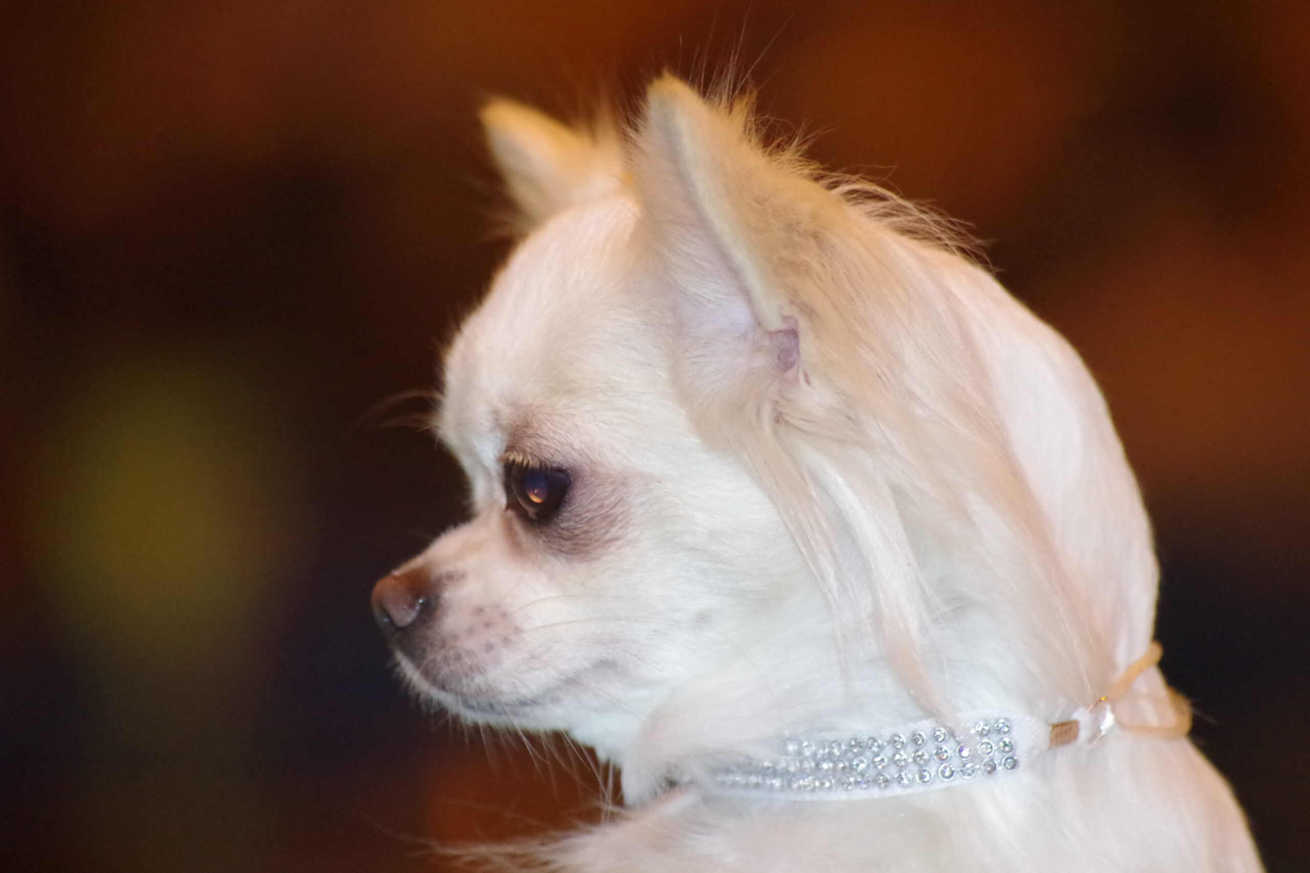 Zaczynamy sezon 2018