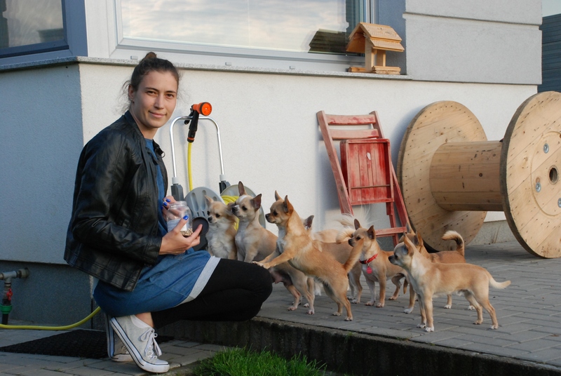 Artykuł w piśmie „Cztery łapy” nr. październik 2015