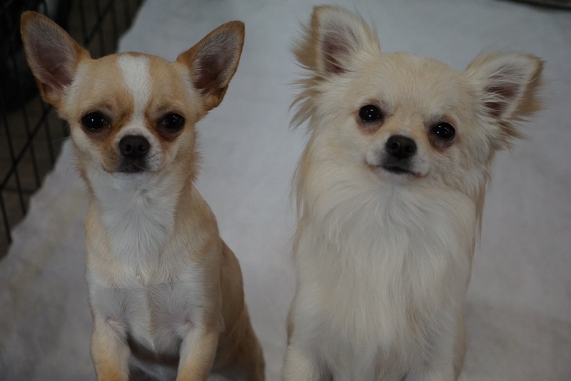 NOWY MIOT już jest  :)