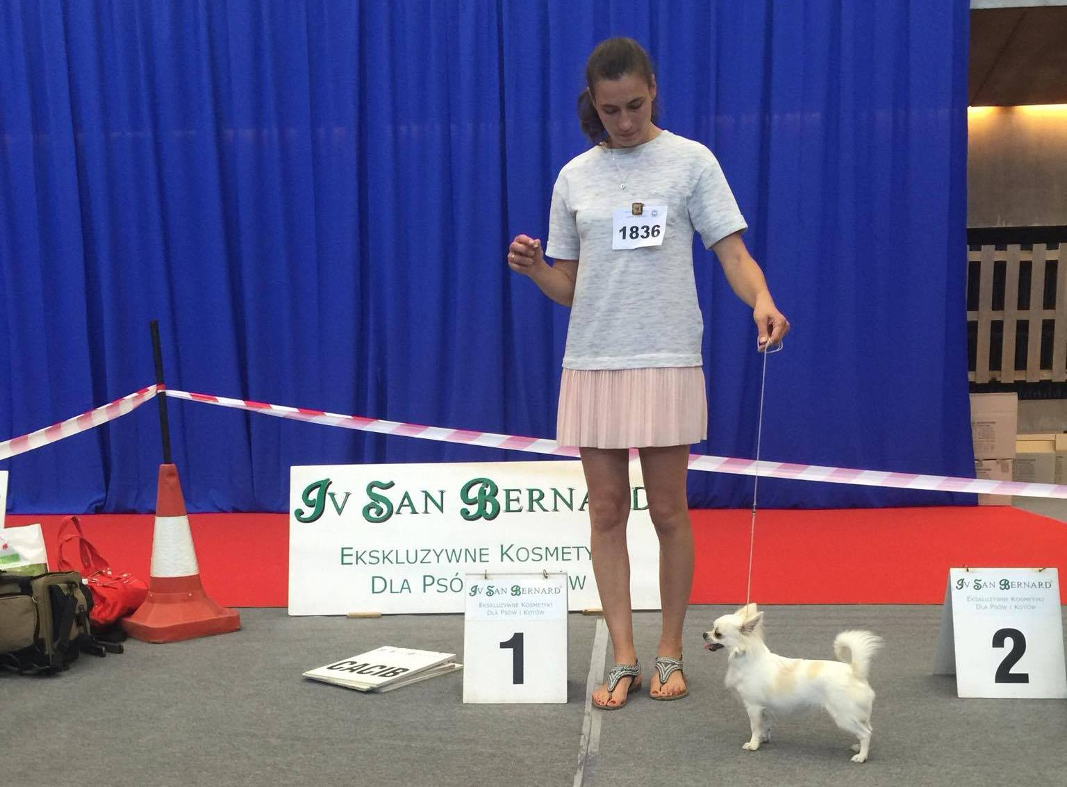 Samba Pa Ti Z domu Rosa 