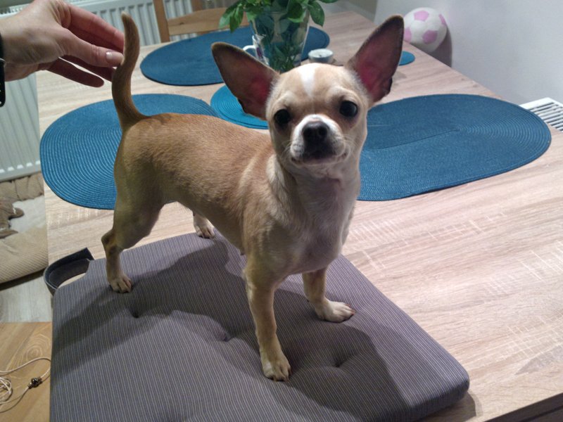 Nela – Lucky Noeris 