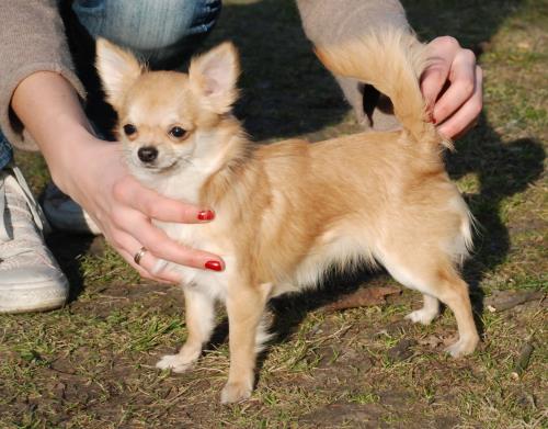 Toskania z domu Rosa